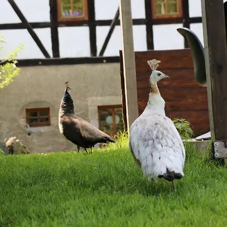 Holiday home Appenhof